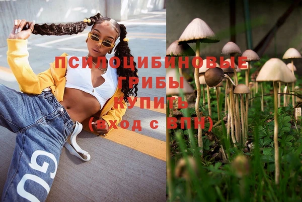 амфетамин Алексин