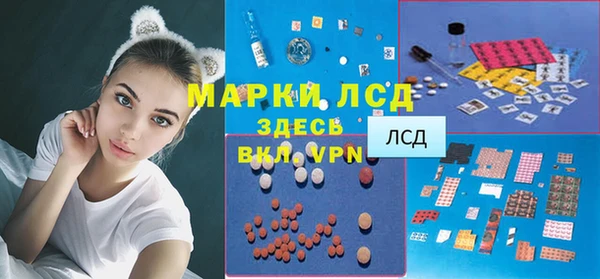 амф Алзамай