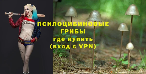 амфетамин Алексин
