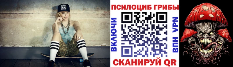 Псилоцибиновые грибы Cubensis  Ступино 